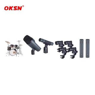 PROFESSIONAL MICROPHONE INSTRUMENT MICROPHONE SERIES SN-1100 Wireless Microphone Mic System
